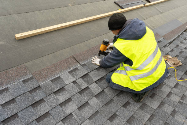 Best Roof Gutter Cleaning  in Mercedes, TX